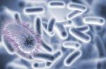 Cell惊人发现：细胞是被细菌吓死的？