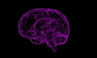 Science子刊：揭示逆转衰老的重要角色，实现大脑返老还童！