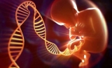 基因编辑婴儿试验注册申请已被驳回