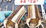 南京农大专家已找到防控“香蕉艾滋”药方