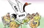 收购“39健康网”的朗玛信息是如何炼成中国第一高价股的？