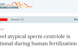 颠覆旧识！关于精子，这点认知我们错了 | Nature子刊