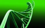 2015年生物医药或将迎来新拐点！