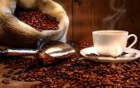 探究：喝咖啡最适宜时段