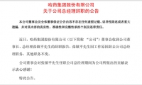 重大调整！徐海瑛出任哈药股份总经理