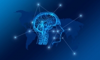 Cell子刊：人脑GPS是如何实现的？科学家发现独特神经元！
