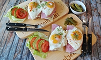 《自然》子刊揭示：从进食到禁食，这种肠激素是控制肝脏脂肪生成的关键！