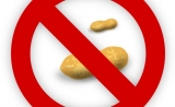 JACI揭露儿童食物过敏机制，环境与遗传必须共存