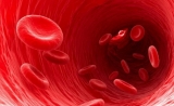我国科学家Nature揭示m6A调控造血干细胞命运决定新机制