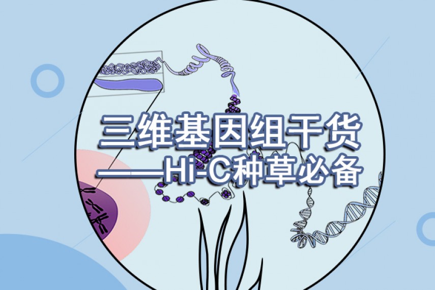 史上最直白的Hi-C研究干货