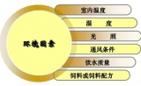 药物安全性研究之长期毒性试验中的动物选择