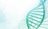 重磅！首个北京鸭三维基因组研究登顶Nature子刊