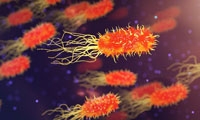 Science：癌症肿瘤中竟然有大量细菌？
