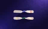 PLOS Biology：性染色体的进化之路