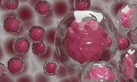 什么饮食可以抗癌？Nature：减少丝氨酸摄入可抑制肿瘤细胞的生长