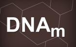 Nature：北大绘就首个人类早期胚胎DNA甲基化全景观图谱