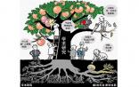 中科院：打响科技体制改革头炮 涉及近6万名科研人员