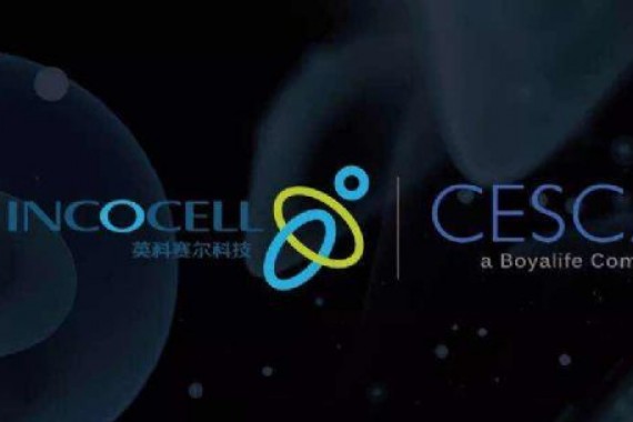 博雅控股集团宣布推出CAR-T及其他细胞制造的CDMO服务