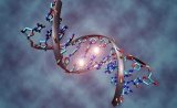 Science：重大突破！揭示III型CRISPR-Cas系统中的一种环寡腺苷酸信号通路
