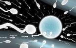 卵巢早衰女子诞下男婴 中国体外激活卵子技术首度成功