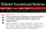 厦门大学Science医学：发布再生医学重大突破