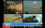盘点：那些因污染环境被曝光的制药企业