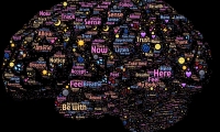 对抗老年痴呆，科学家们发现胆碱或许有潜力