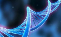 代际传递不是遗传的唯一方式？跨物种间“借基因”再添新证据