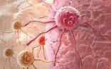 Nature子刊：华人科学家给癌细胞“贴标签”，助力靶向治疗