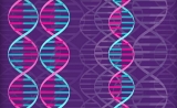 GWAS十年综述：从生物学功能到转化医学的发展