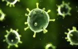 Nat Immunol：两个内部时钟控制T细胞分裂时间和寿命