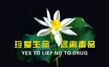 新型毒品竟然都是这些世界制药巨头发明的！