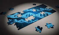 Science：端粒长度与性别、种族和慢性病相关，且因人体组织类型而异！
