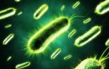 中美德科学家共同呼吁启动“国际微生物组计划”
