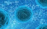 Cell：东方医院专家发现促进乳腺癌转移的“核心基因”
