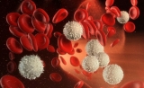白血病新疗法Venclexta获FDA加速批准