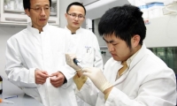 Cell Res：同济大学附属东方医院团队揭示Isl1在心肌细胞凋亡表观遗传控制中的关