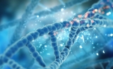 英科学家发现27种能抑制癌症的新基因！