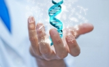 Nature Genetics报道重量级发现：开启人类生命的基因
