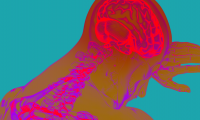 Brain：抑制这个表观遗传因子，逆转“丧失”的记忆