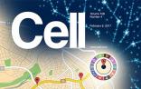 杨晓红博士Cell发表癌症评述：癌转移的关键研究突破