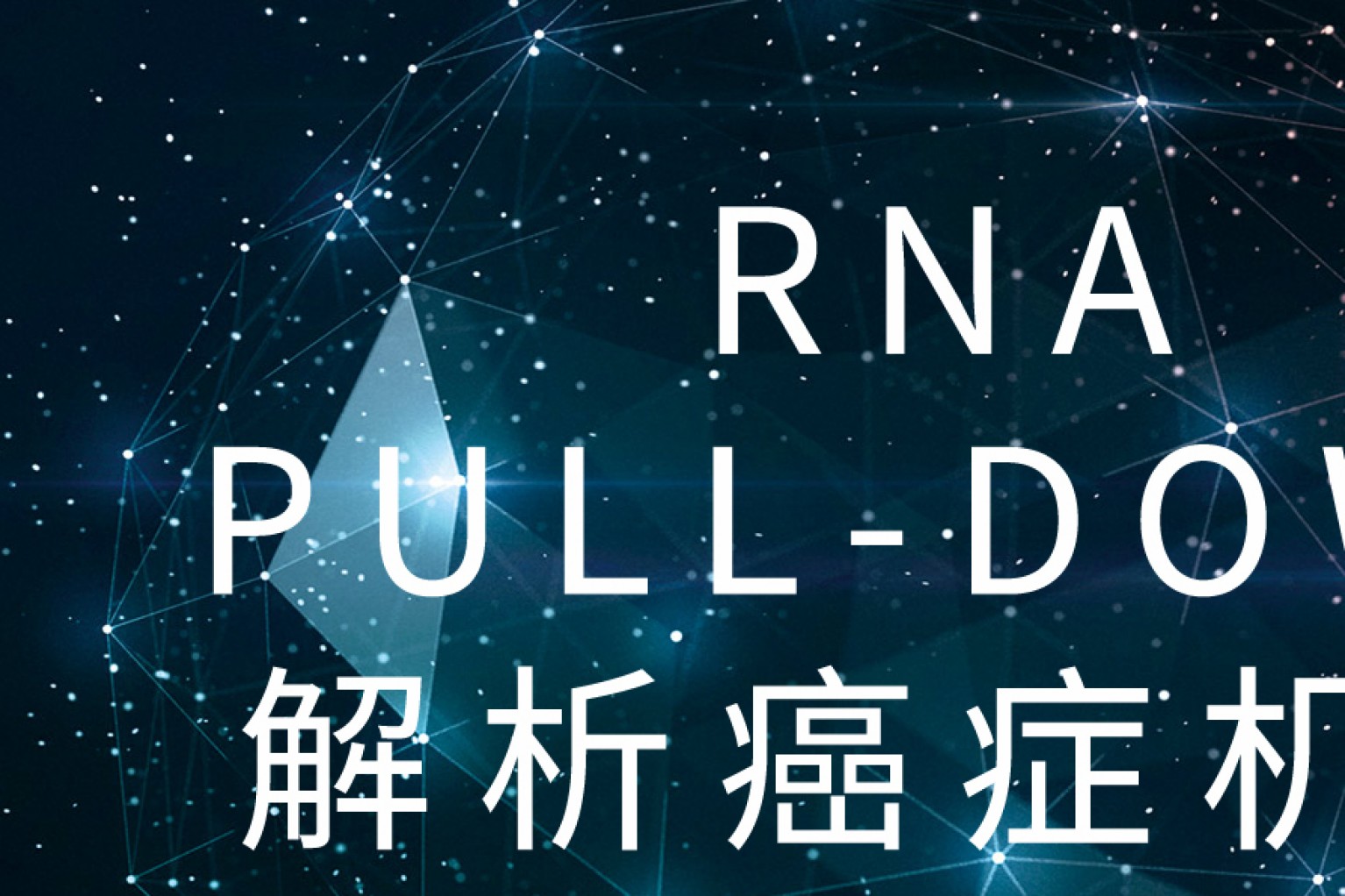 看！10分文章中的RNA pull-down如何七十二变