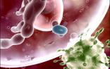 3篇Science Immunology聚焦：病毒阻断抗体生成的罪魁祸首