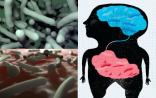 中国微生物领域专利世界第一 发文量居世界第二