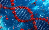 第一次！科学家们证实，控制染色质有望解决癌症耐药性难题