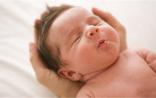两篇Cell研究新生儿菌群 支持母乳喂养和早期微生物暴露