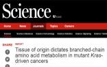 Science再次证实：除了基因突变，肿瘤组织起源也很重要