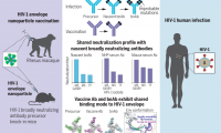 Science：怎样设计才能让HIV抗体特异性更好呢？工程化B细胞？