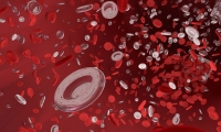 NEJM：里程碑！挽救急性髓性白血病的药物