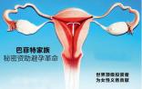 巴菲特